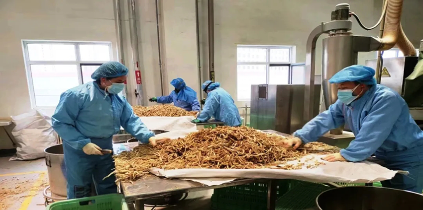 必一运动奋力冲刺一季度“开门红”