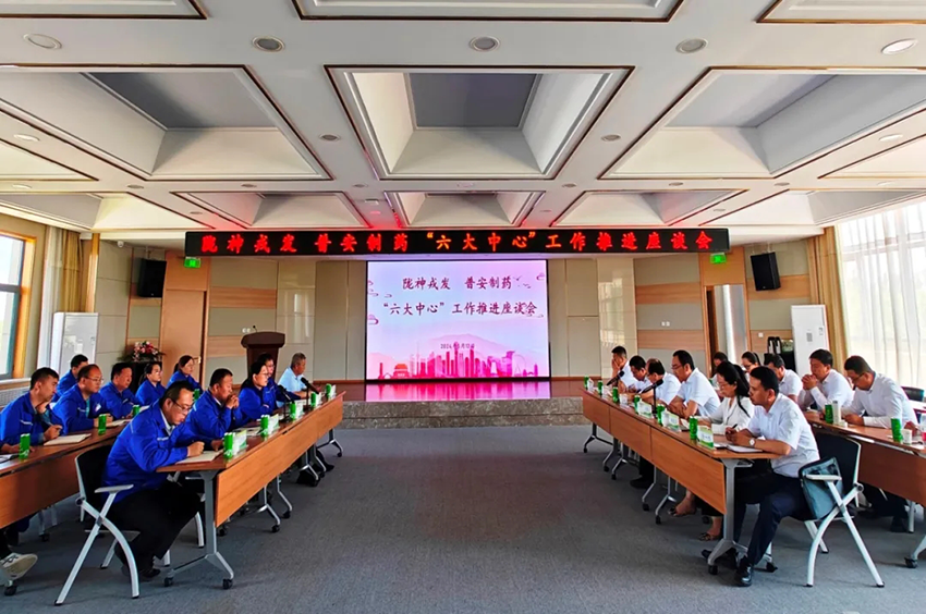 沟通交流促提升，携手聚力共前行——必一运动与普安制药召开“六大中心”工作推进座谈会