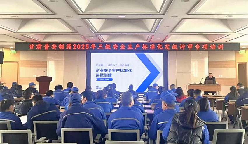 【普安必一运动
】安全第一 预防为主 综合治理丨普安制药开展2025年三级安全标准化定级评审专项培训