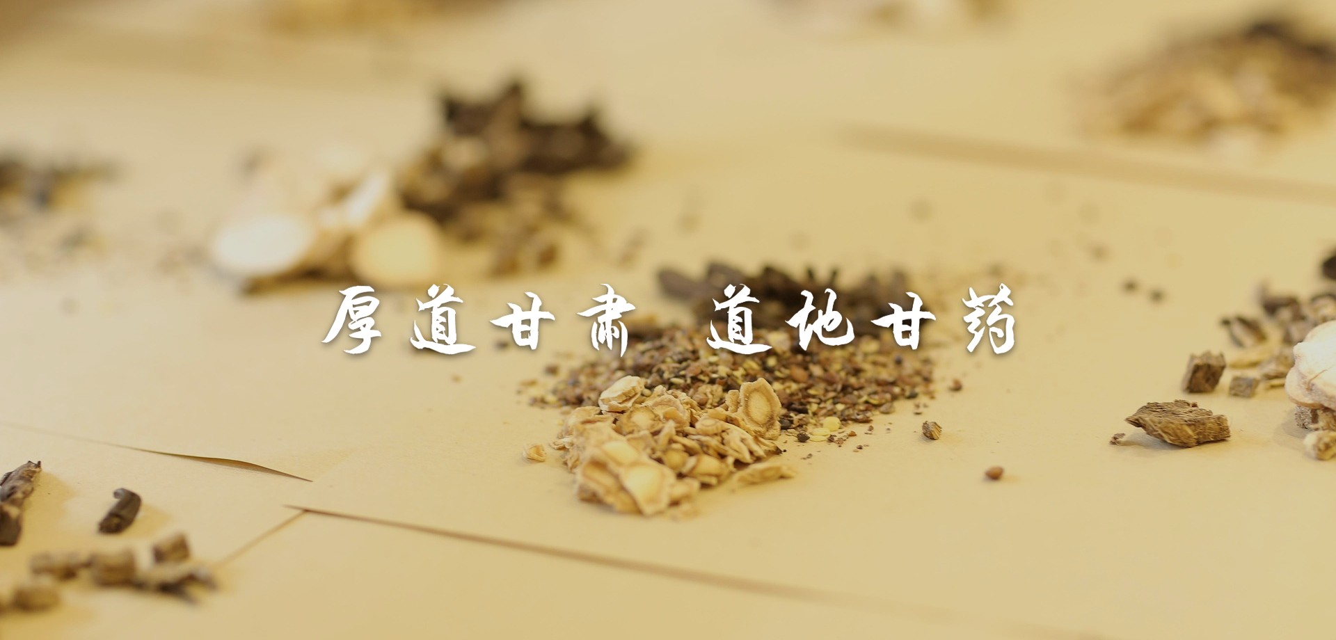厚道甘肃 道地必一运动
