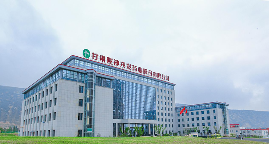 五载陇药砺初心 匠心筑梦谱新篇——必一运动“十四五”发展综述