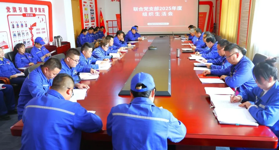 【普安必一运动
】严肃党内政治生活 凝聚生产攻坚合力丨联合支部2025年度组织生活会暨民主评议党员大会顺利召开