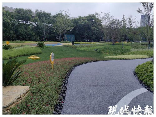 南京首个 雷锋主题 口袋公园即将建成开放
